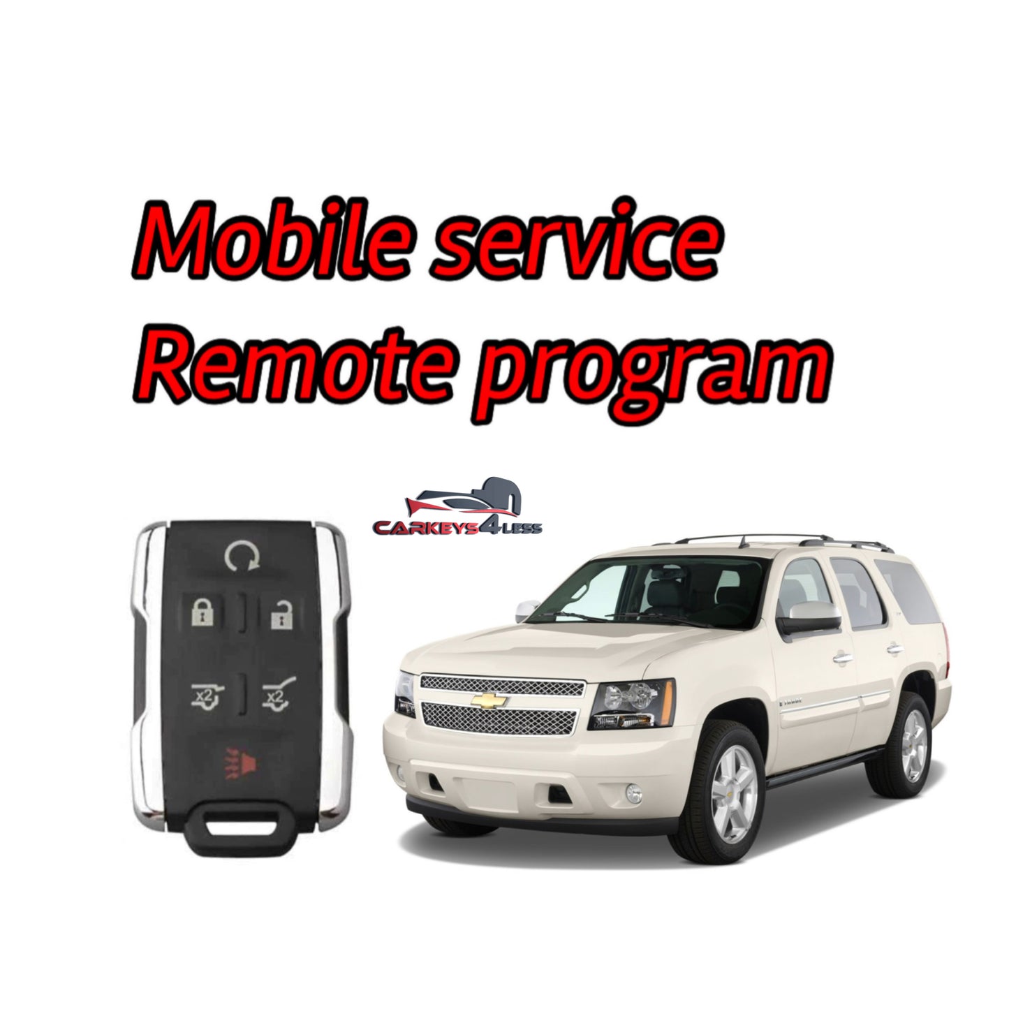 Mobile service for a remote program